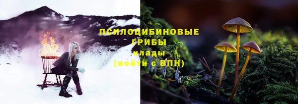гашик Нея