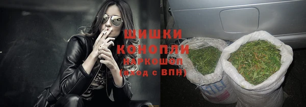 a pvp Бородино
