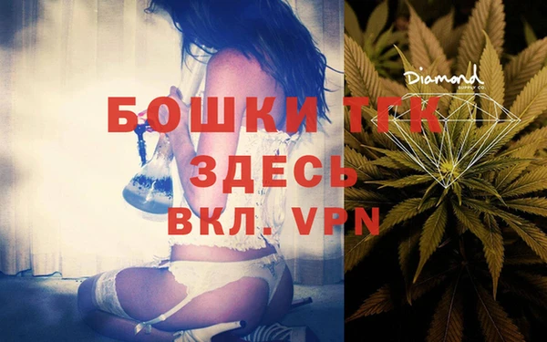 тгк Верея