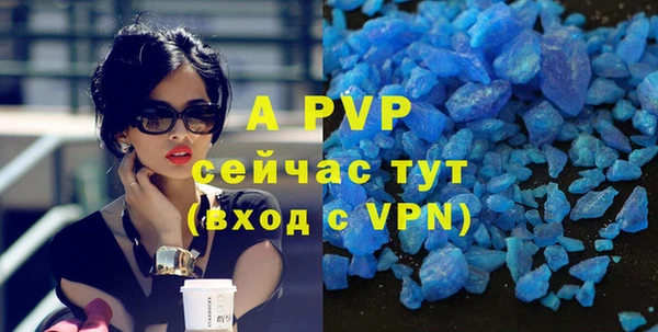 a pvp Бородино
