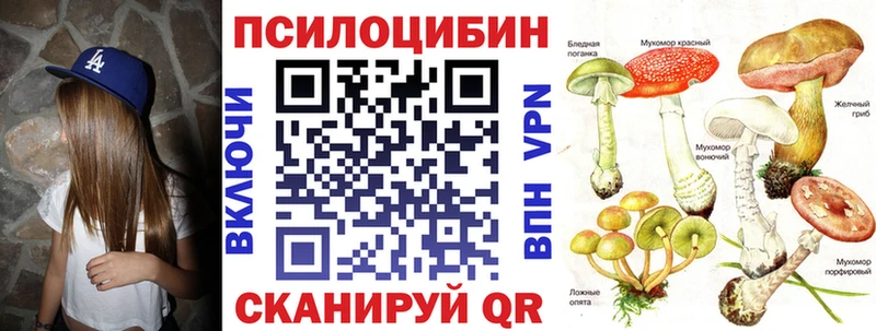 KRAKEN ONION  Гулькевичи  Псилоцибиновые грибы Psilocybine cubensis  цена  